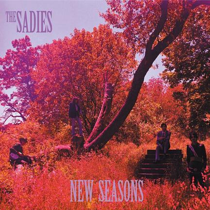 THE SADIES Music - New Seasons CD - 2007